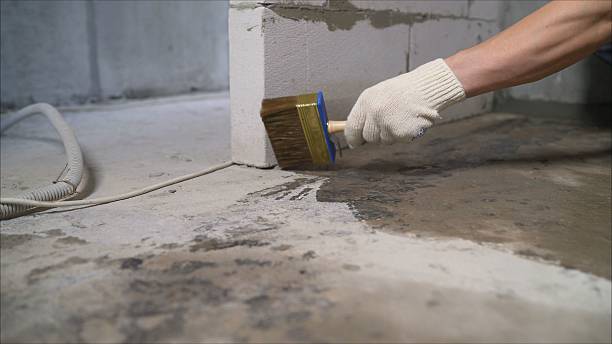 Top rated local Wet Basement Repair specialists in Evart, MI