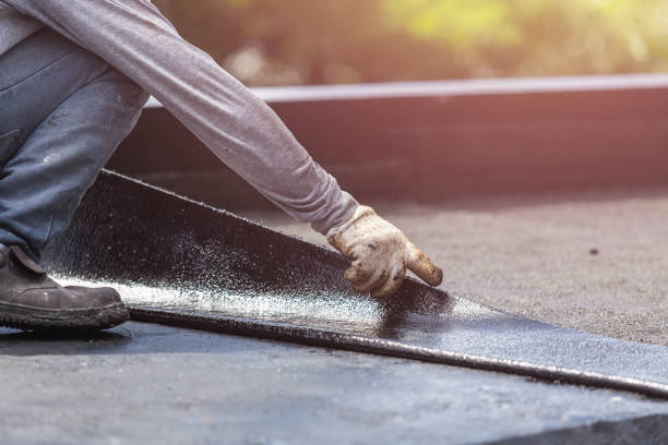 Professional Wet Basement Repair technician working in Evart, MI